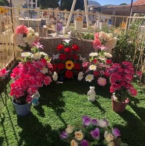 Meet your Posher, Claudia